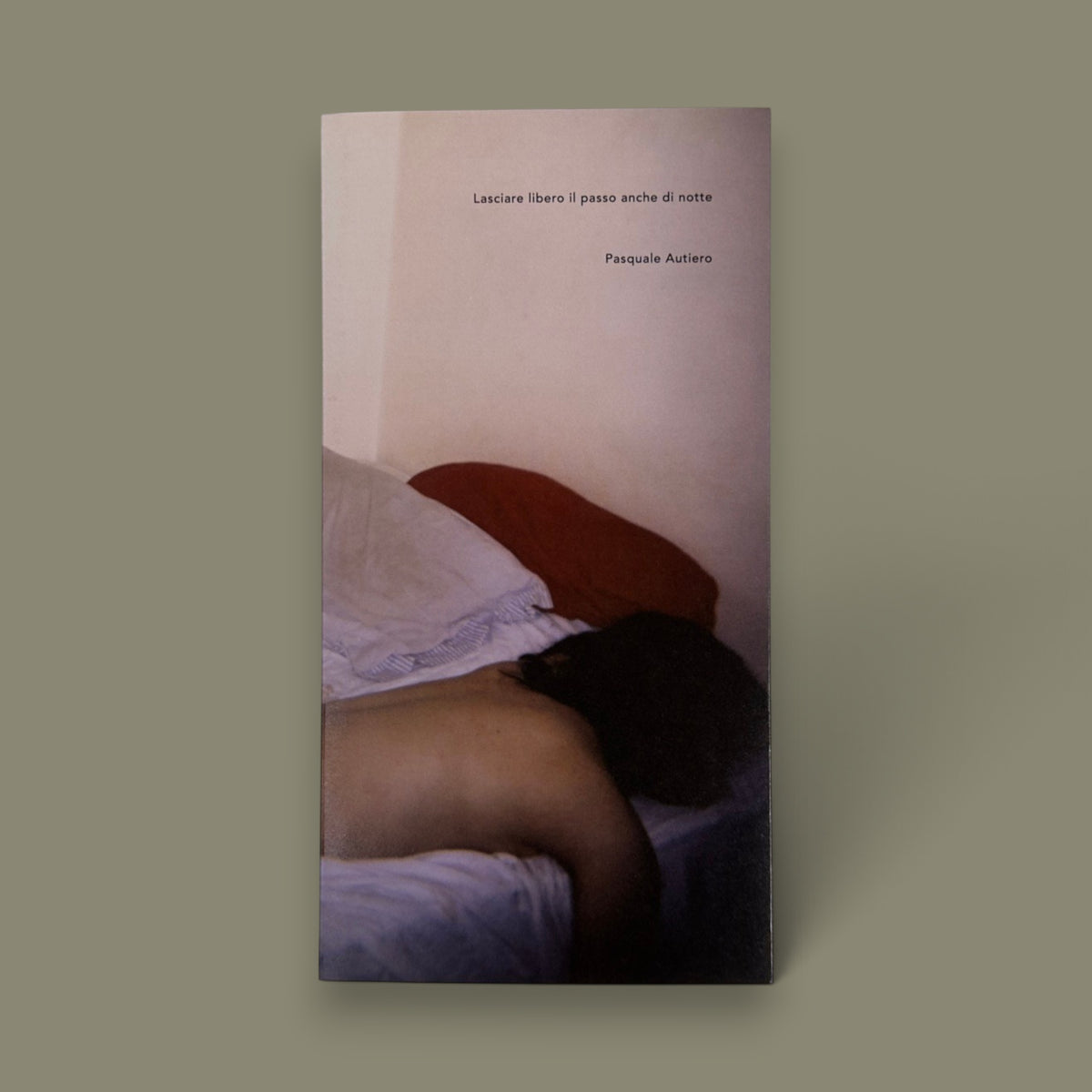 Lasciare libero il passo anche di notte — Pasquale Autiero — 89books