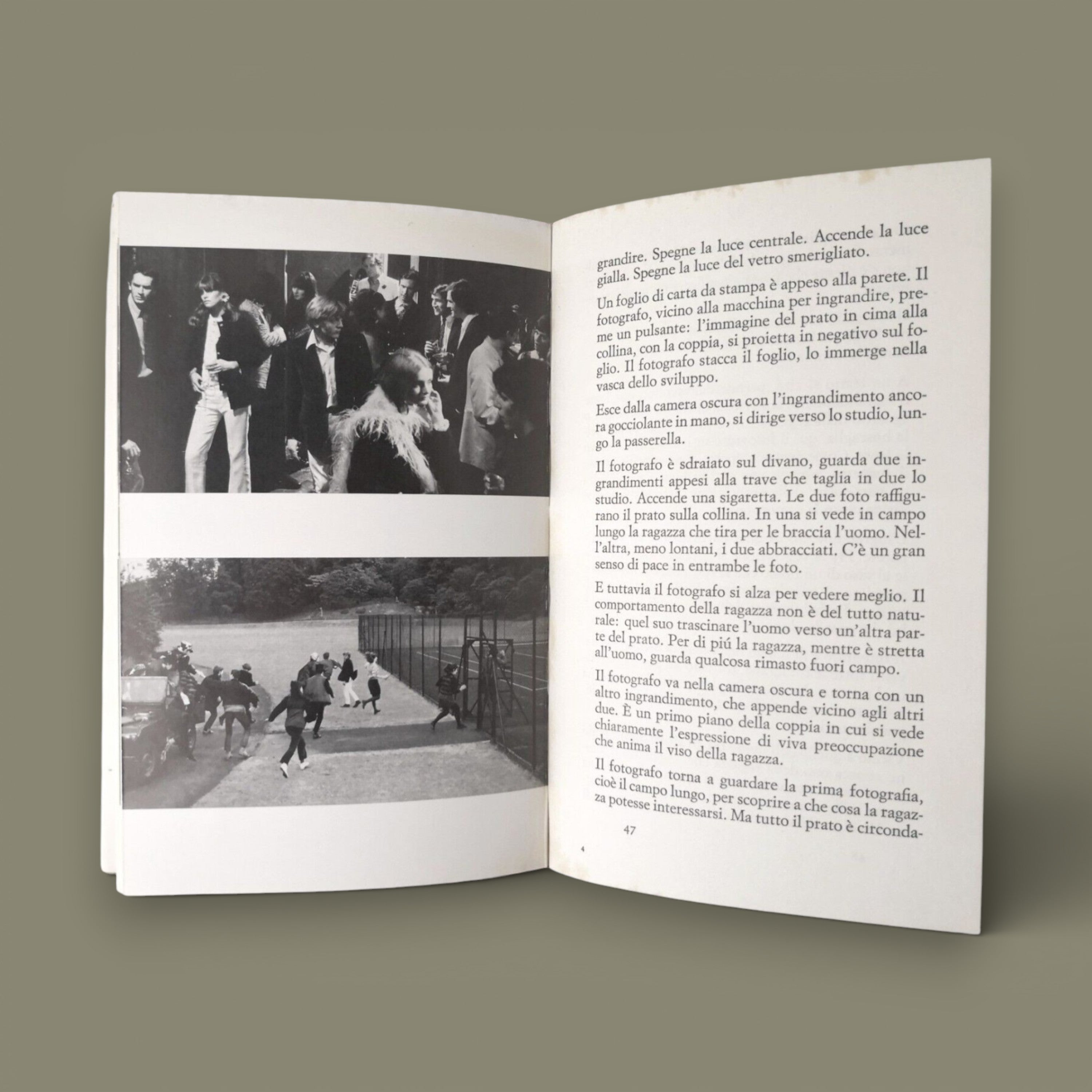 Blow-up — Michelangelo Antonioni, 1967, first Italian edition