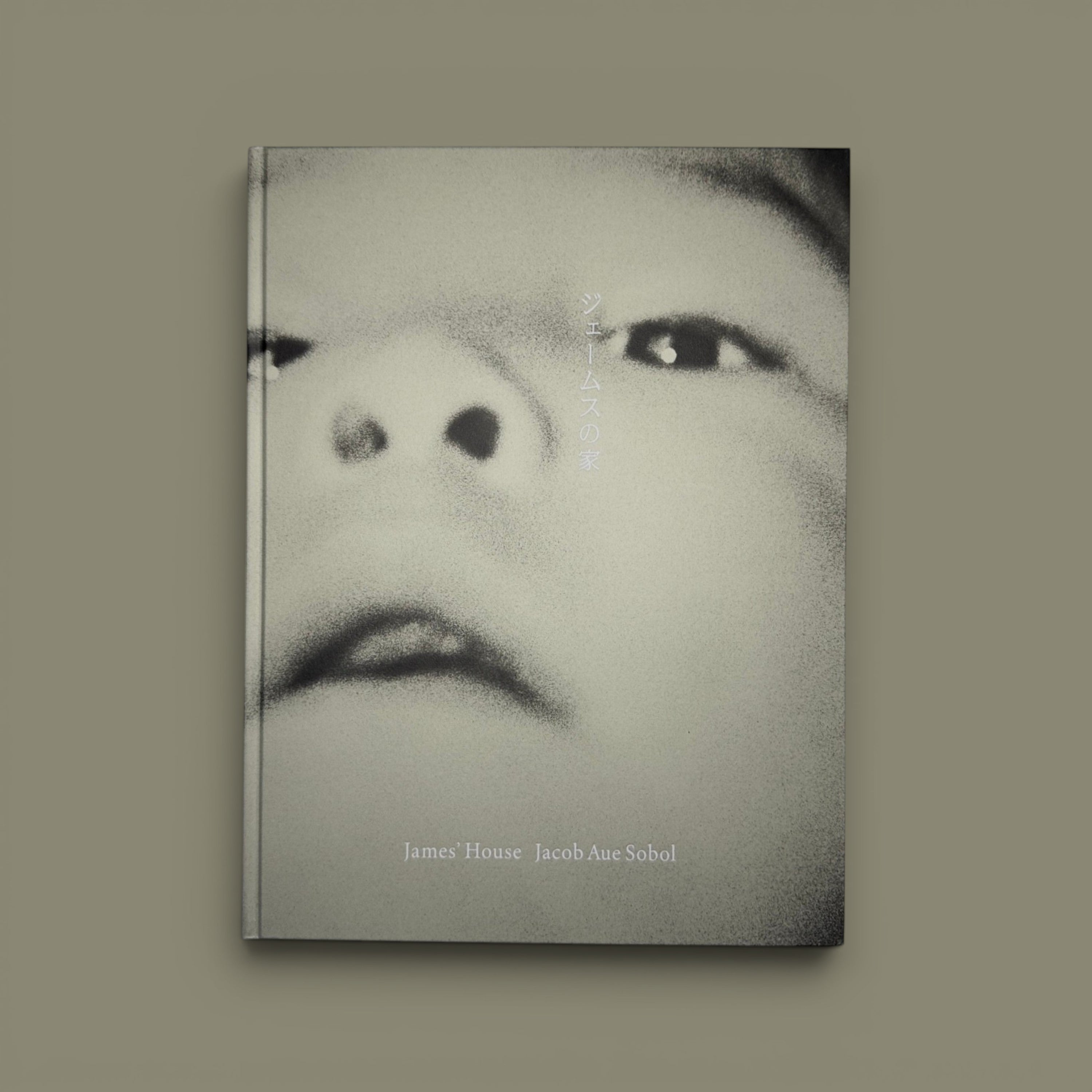 JAMES' HOUSE, Jacob Aue Sobol (signed), SUPER LABO, 2022