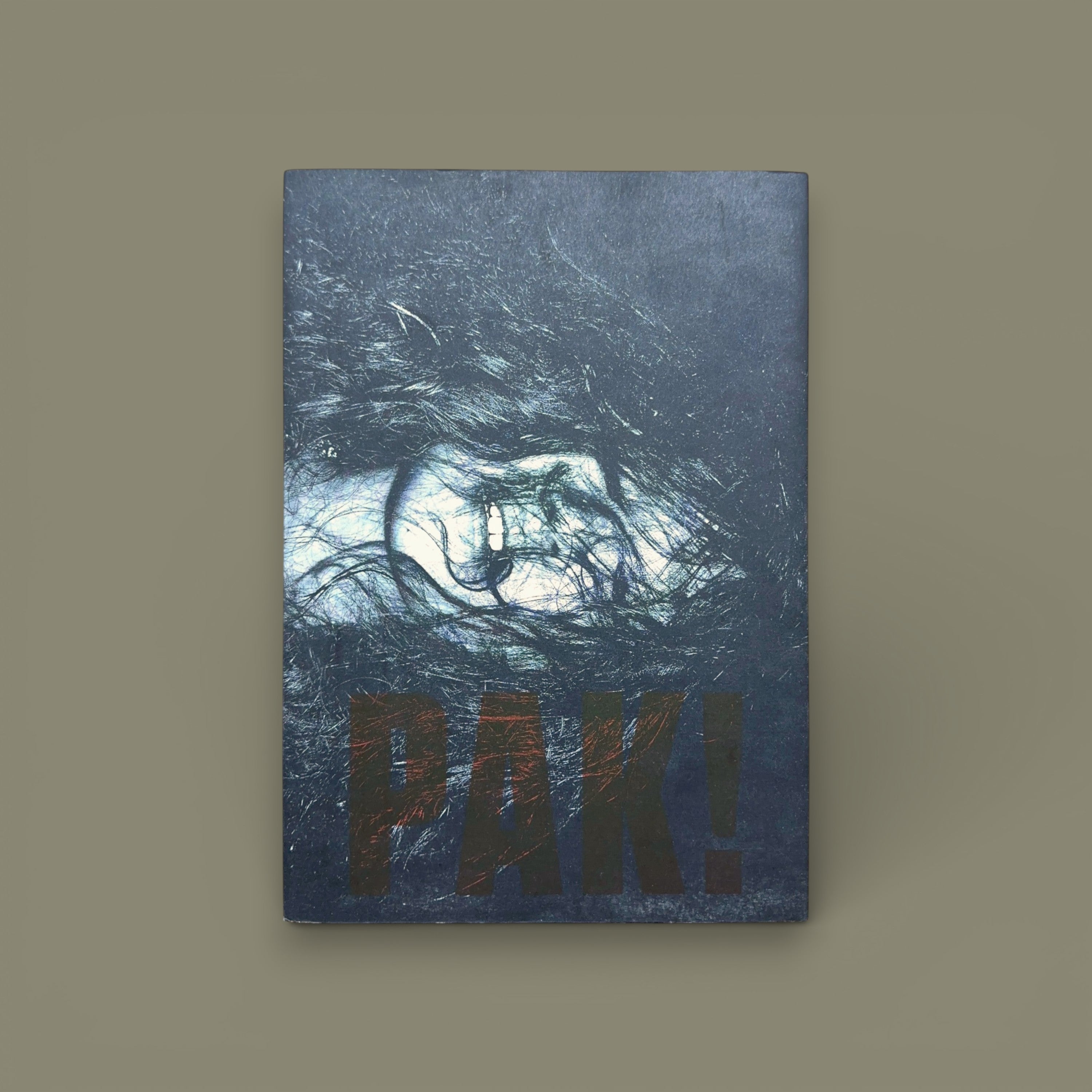 PAK! — Brian Sergio — Dienacht,  2017