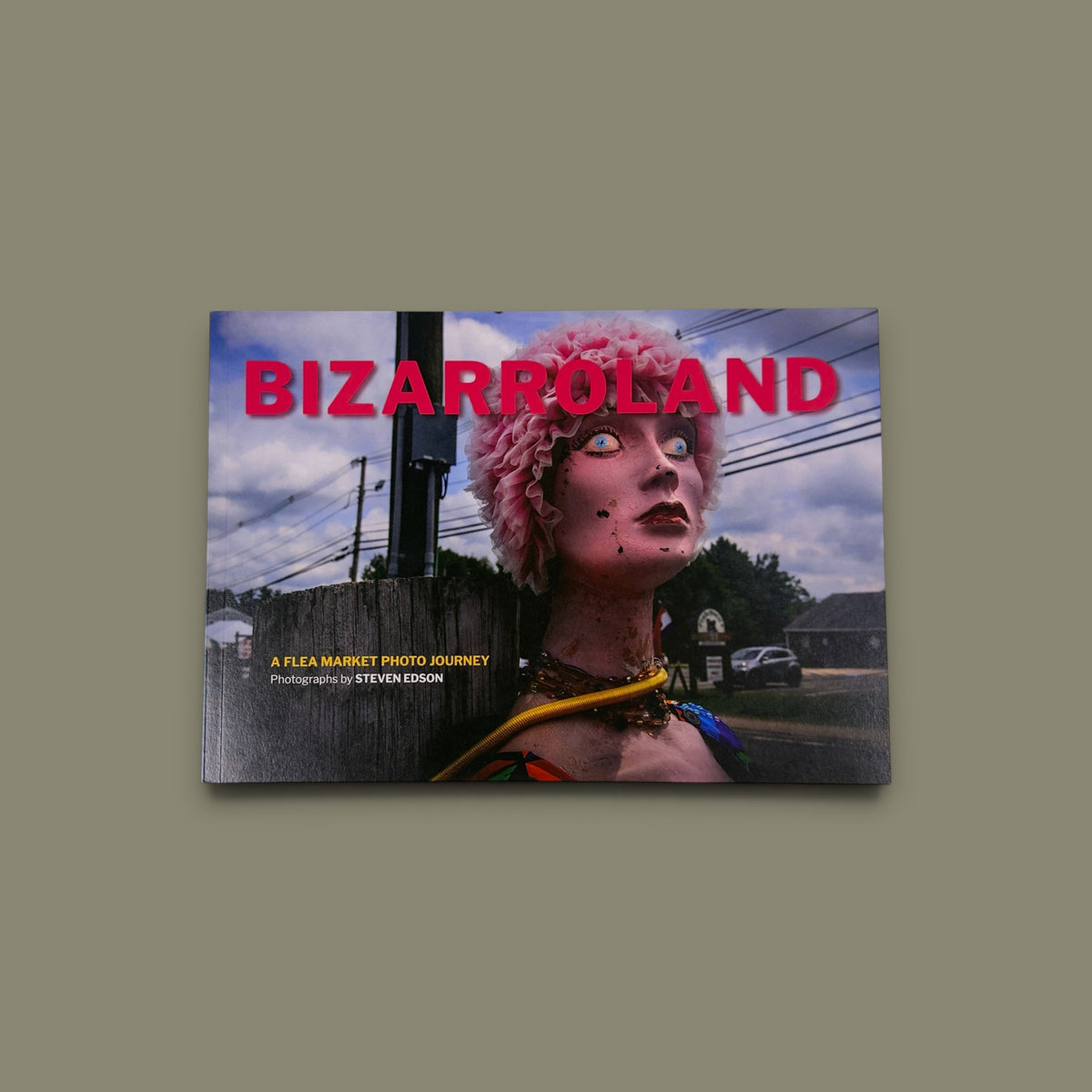 Bizarroland — Steven Edson — 89books