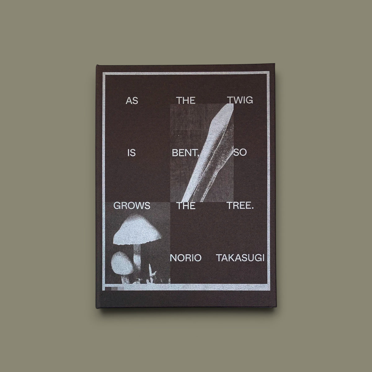 As the twig is bent, so grows the tree. — Norio Takasugi — IBASHO & the(M) éditions — 2025