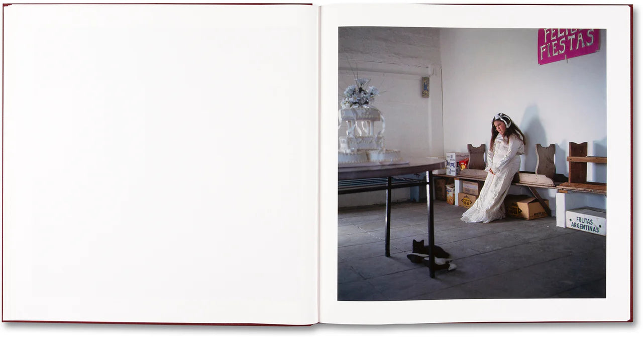 The Adventures of Guille and Belinda and The Enigmatic Meaning of Their Dreams — Alessandra Sanguinetti, MACK, 2024 (2nd printing)