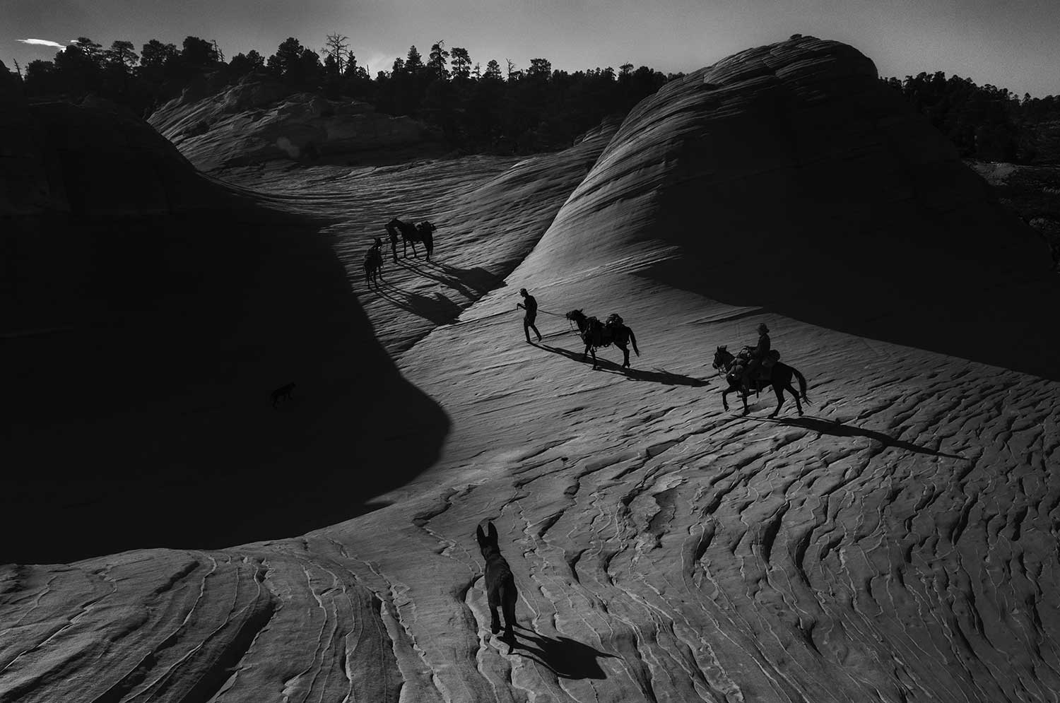 El Grito de Jim Mangan (Twin Palms, 2023)