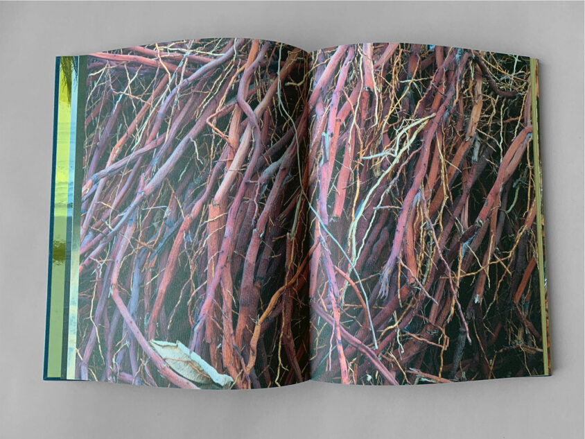 The Three Corners of the Ocean — Claudia López Ortega, Dienacht edition of 500, 2021