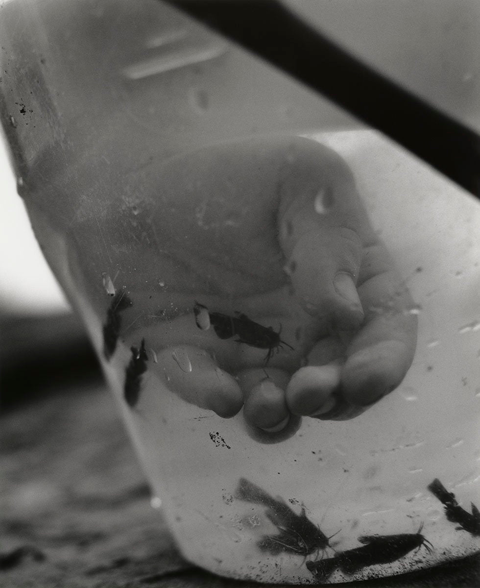 There is a Big River... — András Ladocsi — VOID — 2023