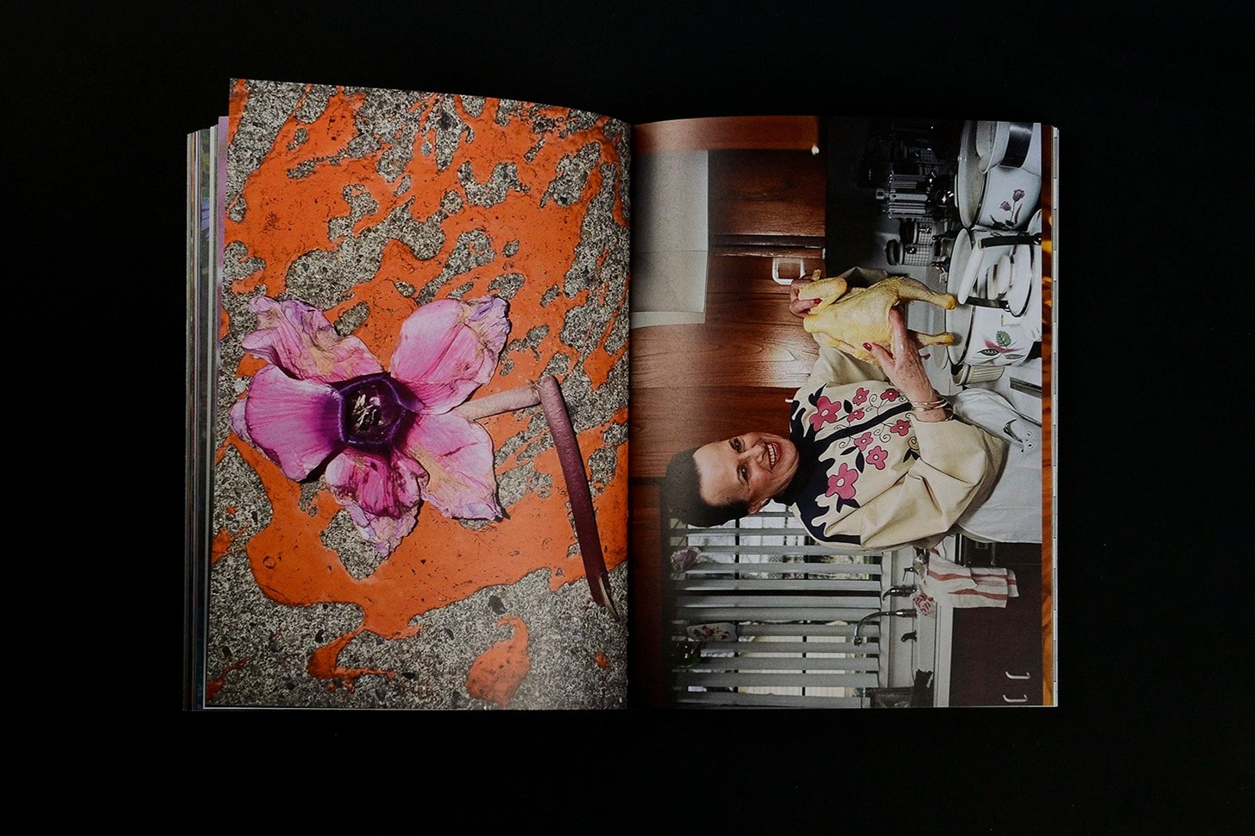 What if Jeff were a butterfly? — Jeff Mermelstein — VOID — 2024
