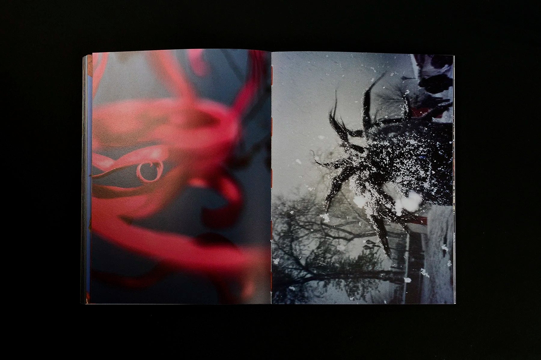What if Jeff were a butterfly? — Jeff Mermelstein — VOID — 2024