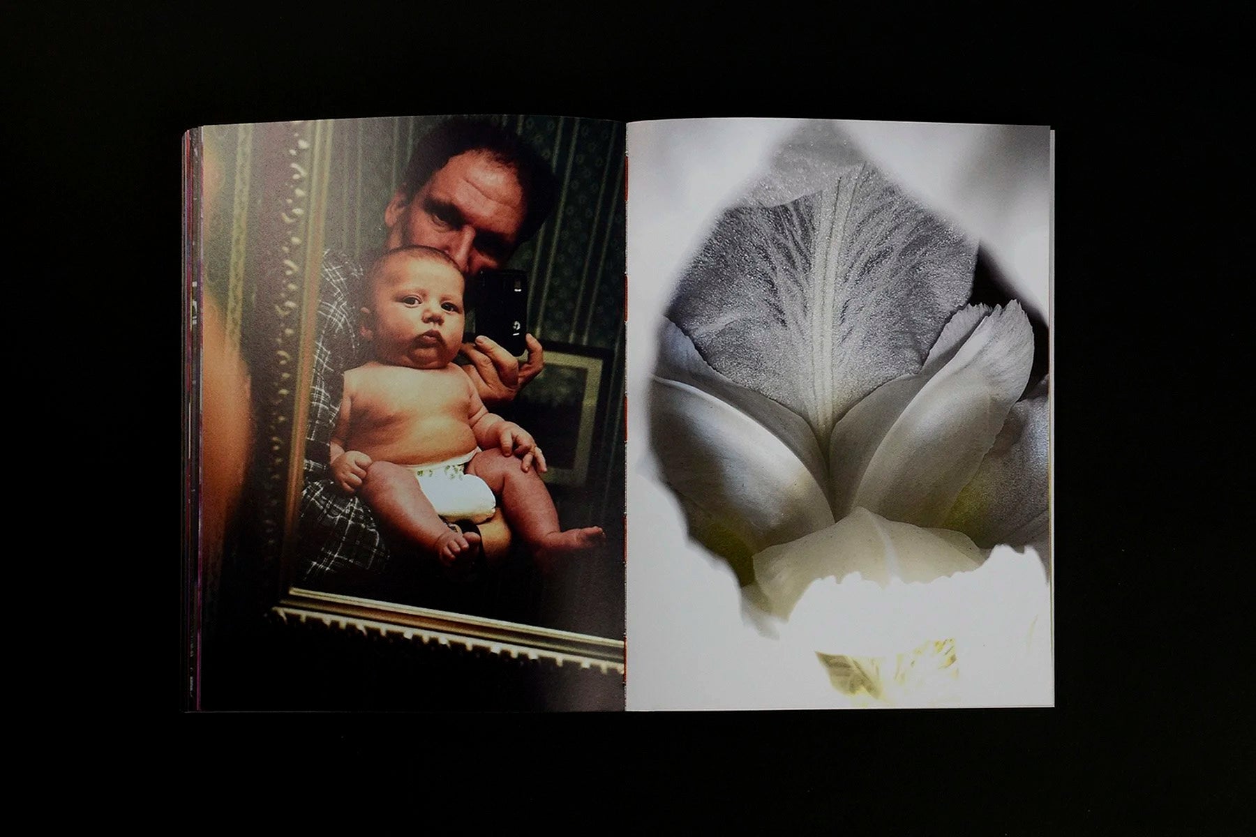 What if Jeff were a butterfly? — Jeff Mermelstein — VOID — 2024