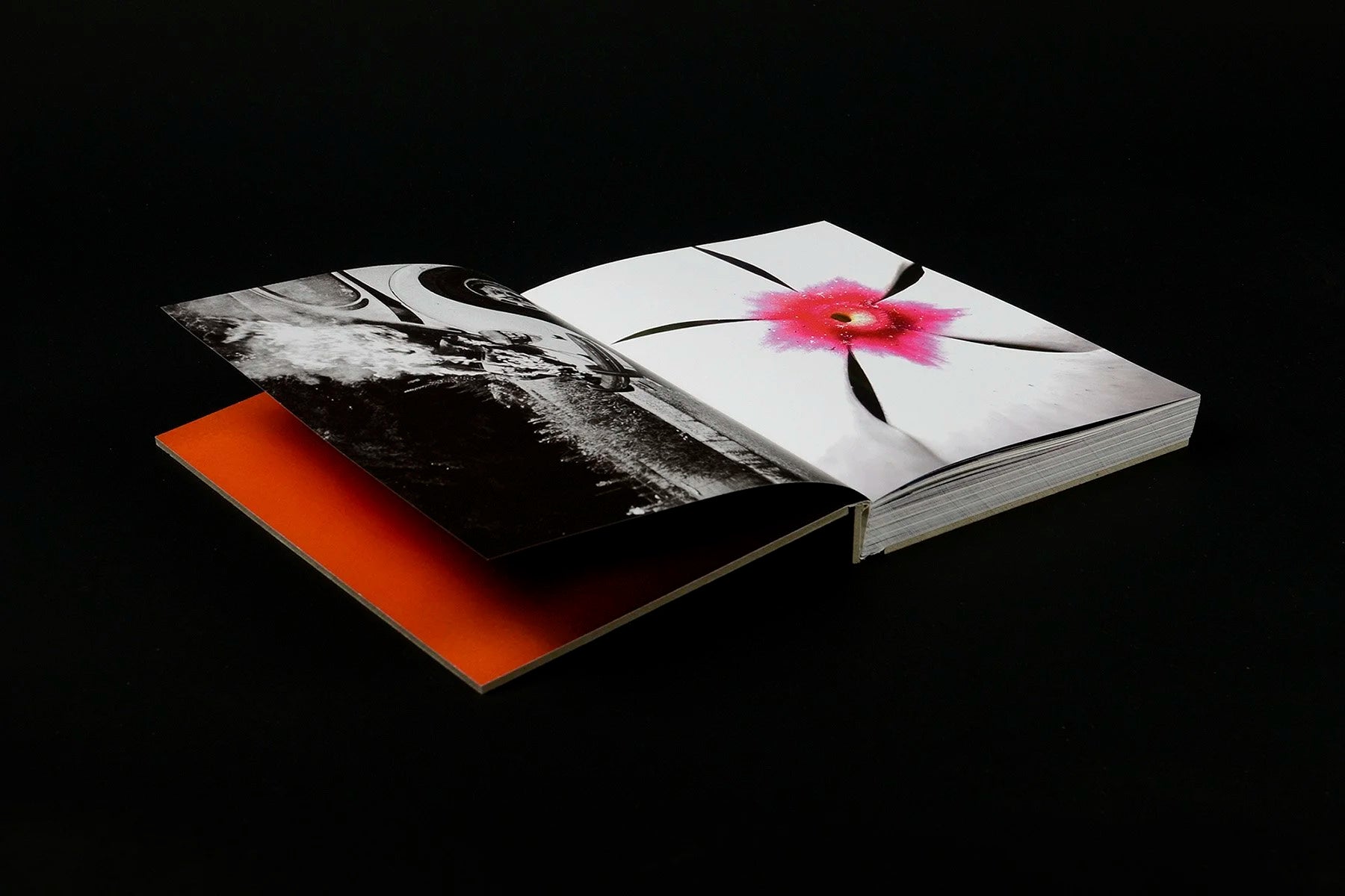 What if Jeff were a butterfly? — Jeff Mermelstein — VOID — 2024