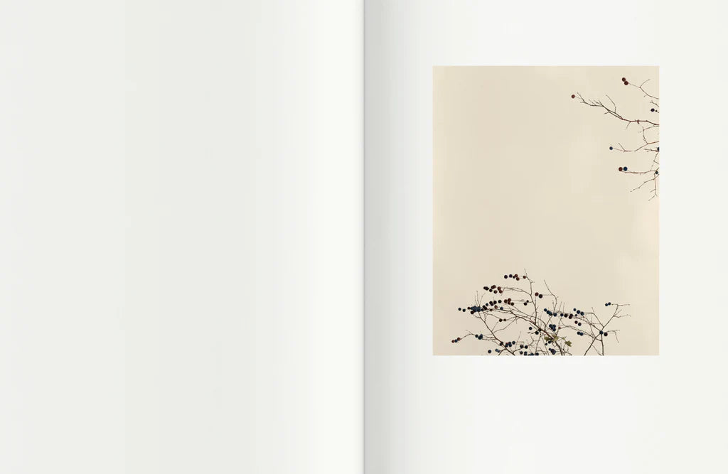 Voyage en pays du Clermontois — Israel Ariño, EDICIONES ANOMALAS, 2020