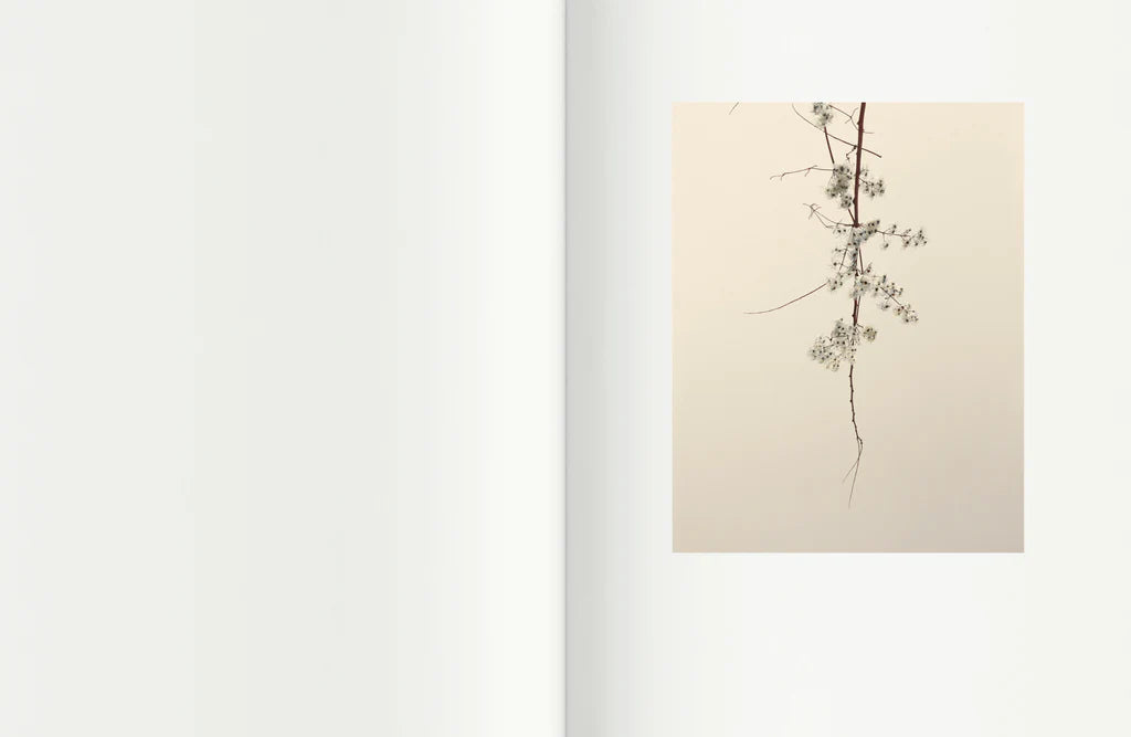 Voyage en pays du Clermontois — Israel Ariño, EDICIONES ANOMALAS, 2020