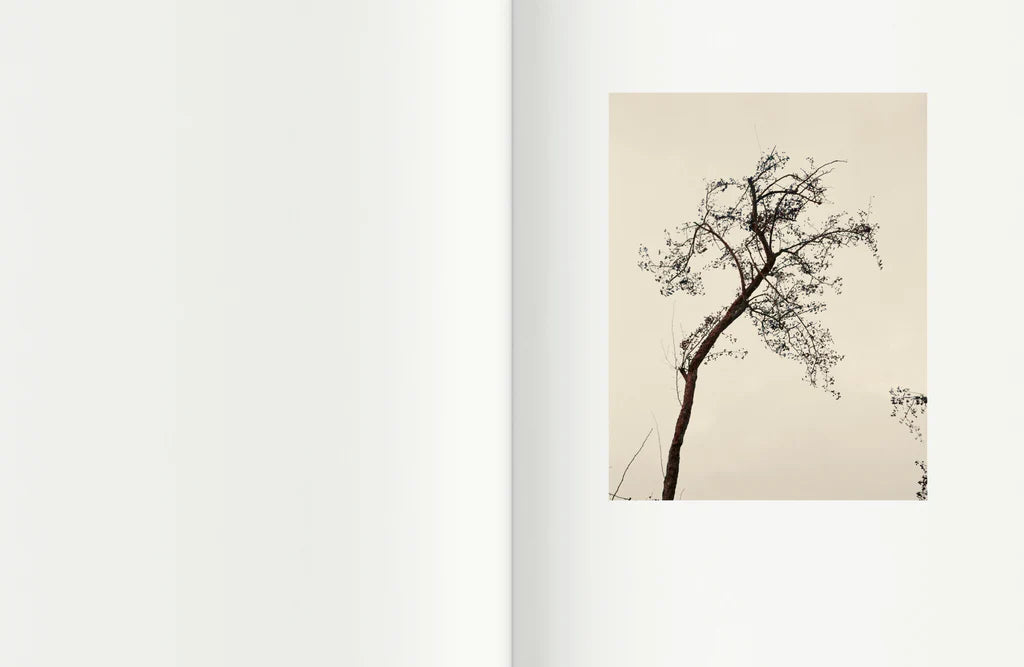 Voyage en pays du Clermontois — Israel Ariño, EDICIONES ANOMALAS, 2020