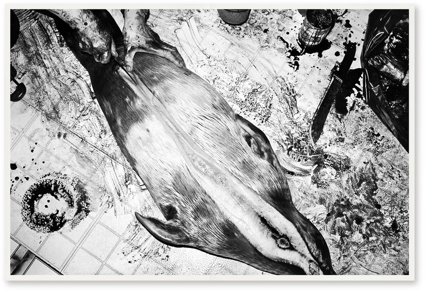 WITH AND WITHOUT YOU, Jacob Aue Sobol, SUPER LABO, 2019