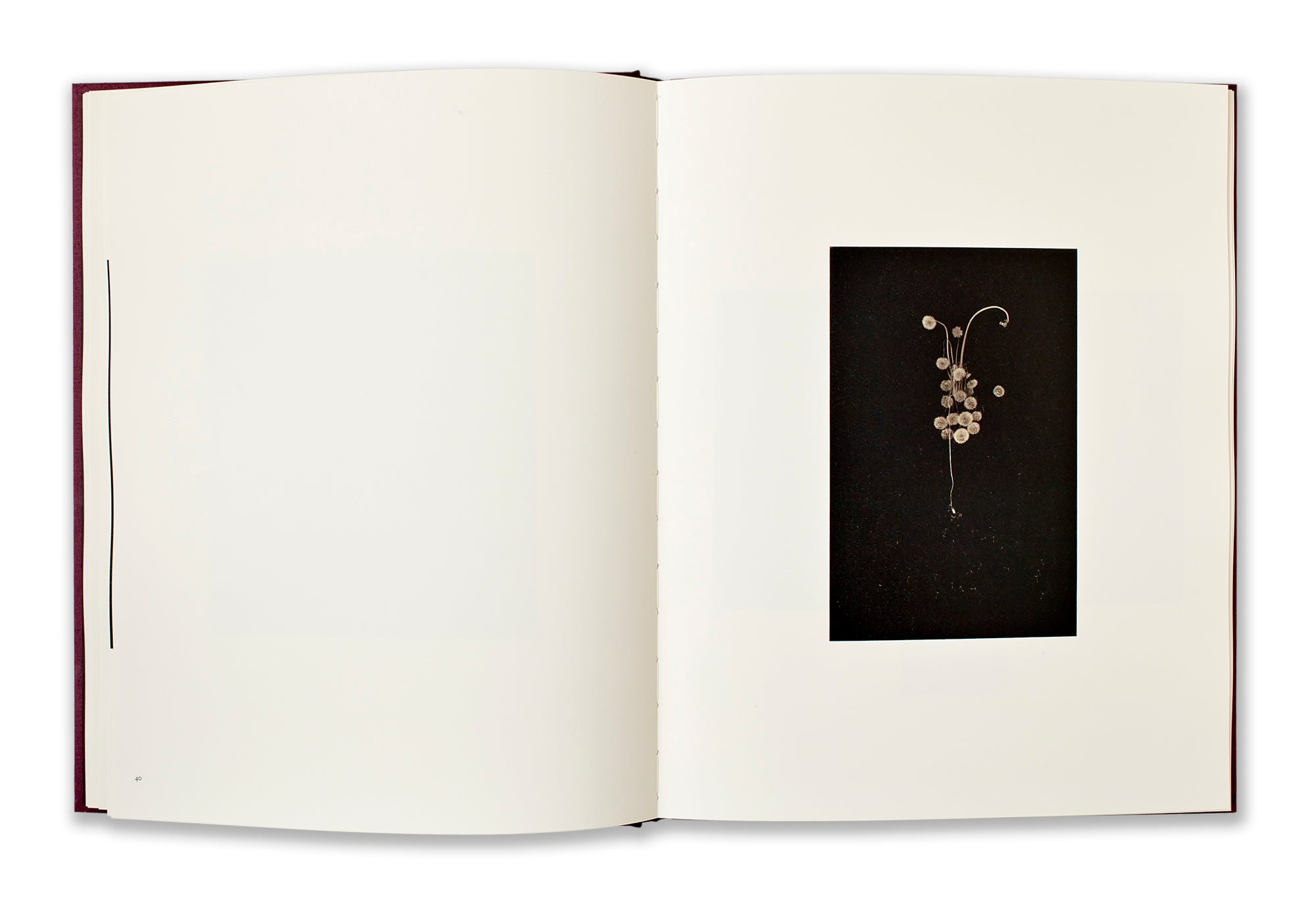 Small Things in Silence Yamamoto Masao Editorial RM 2024