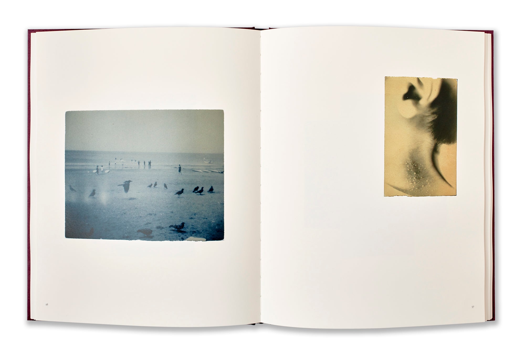 Small Things in Silence Yamamoto Masao Editorial RM 2024