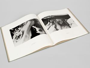 The Family of Dog — Michael Ruetz (First edition), Steidl 2005