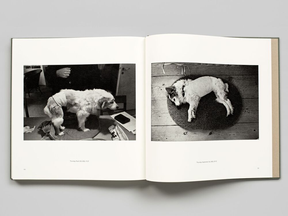 The Family of Dog — Michael Ruetz (First edition), Steidl 2005