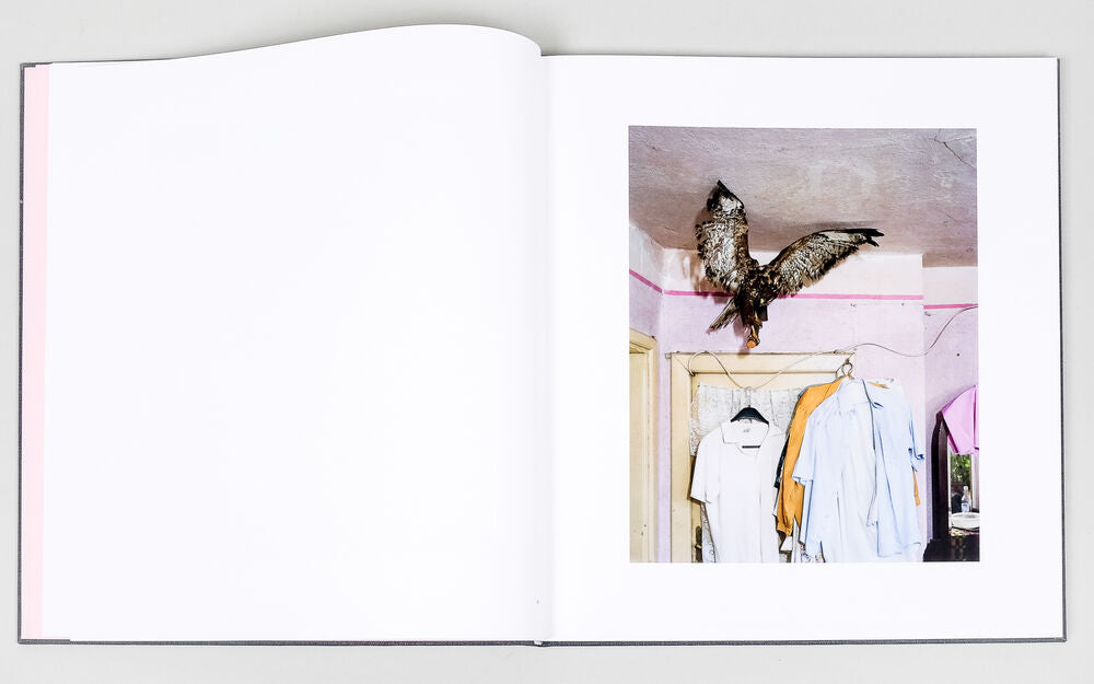 I Know How Furiously Your Heart Is Beating — Alec Soth, Primera edición, firmado