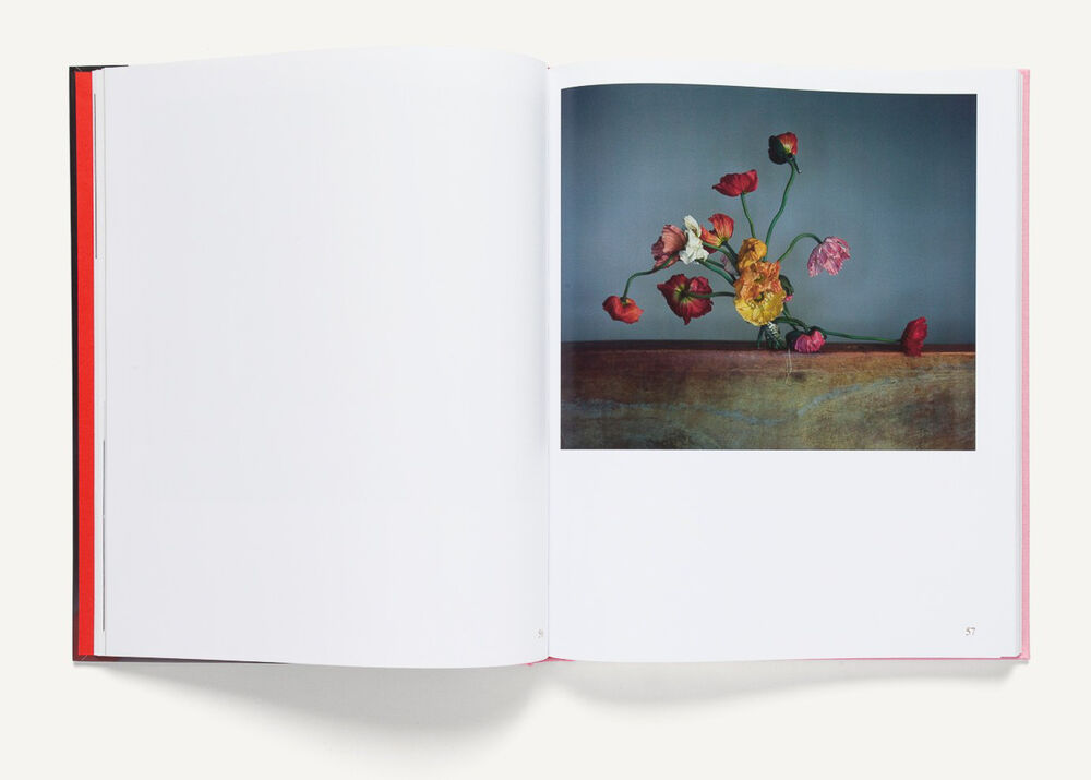 Richard Learoyd: 2018–2007 — Fundación Mapfre, 2019 (Spanish edition)