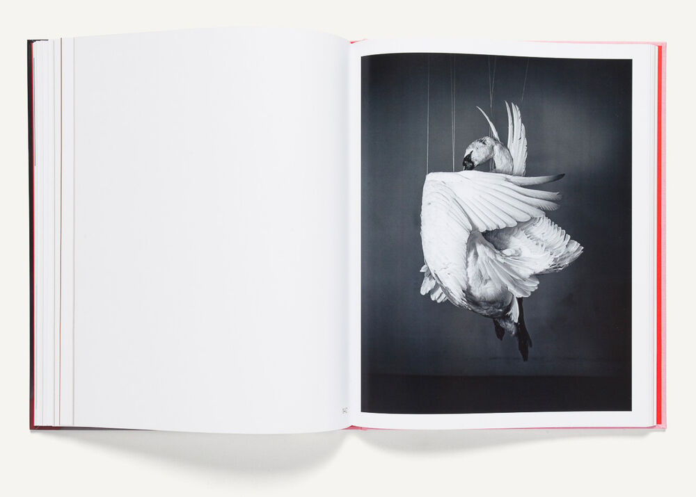 Richard Learoyd: 2018–2007 — Fundación Mapfre, 2019 (Spanish edition)