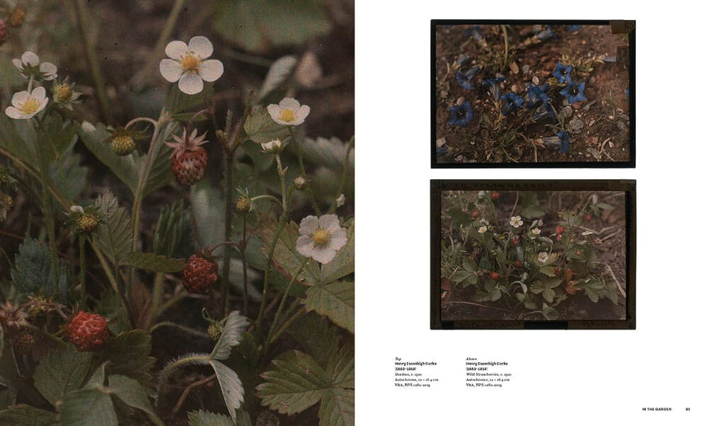 La folie des couleurs : photographier le monde en autochrome — Catlin Langford, 2022