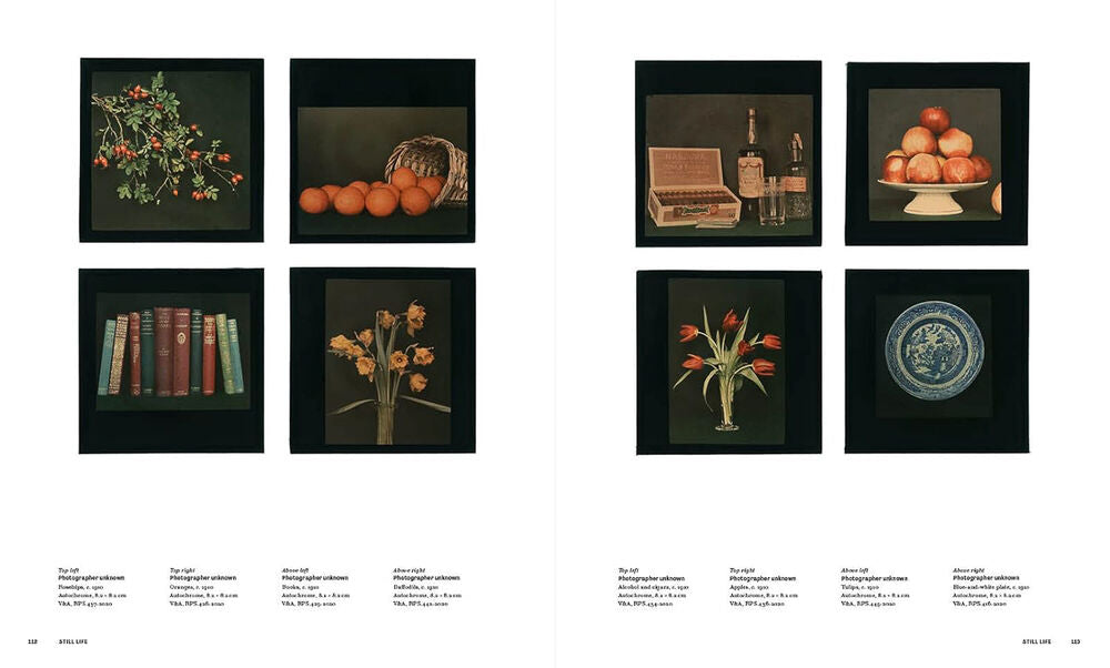 La folie des couleurs : photographier le monde en autochrome — Catlin Langford, 2022