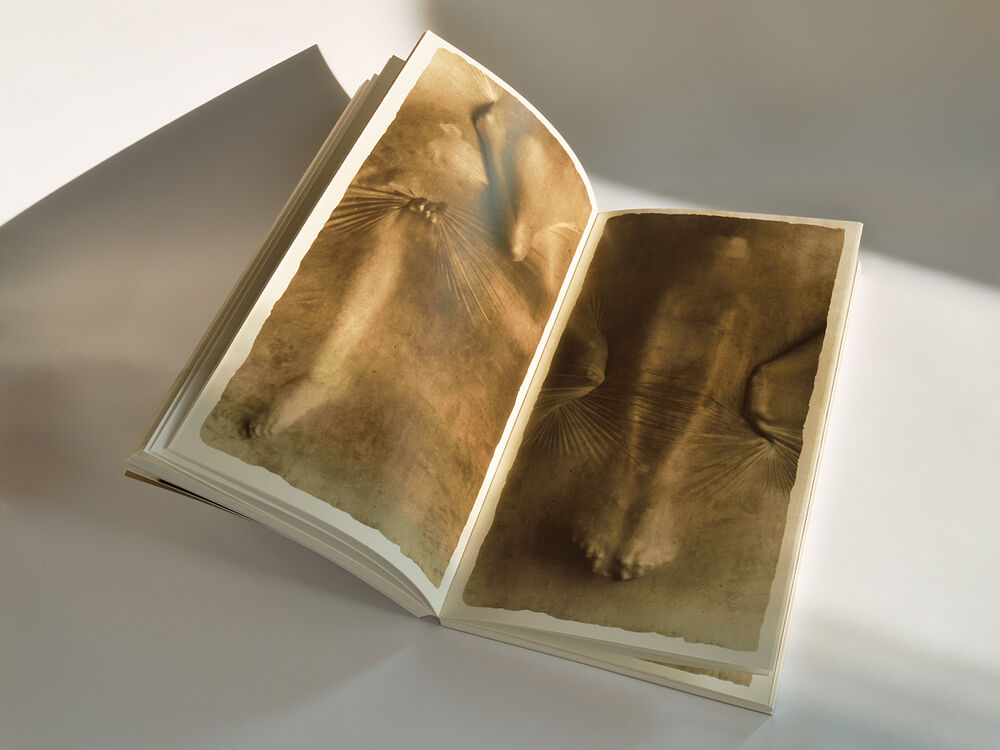 Ósmosis — Alvin Booth, 2006