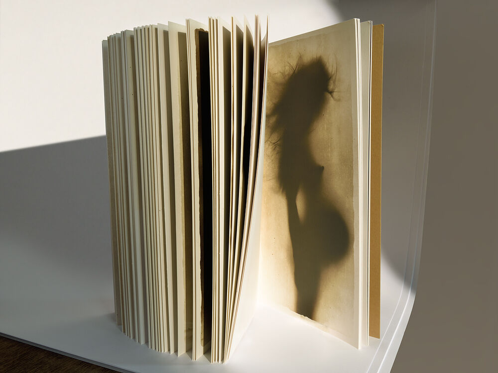 Ósmosis — Alvin Booth, 2006