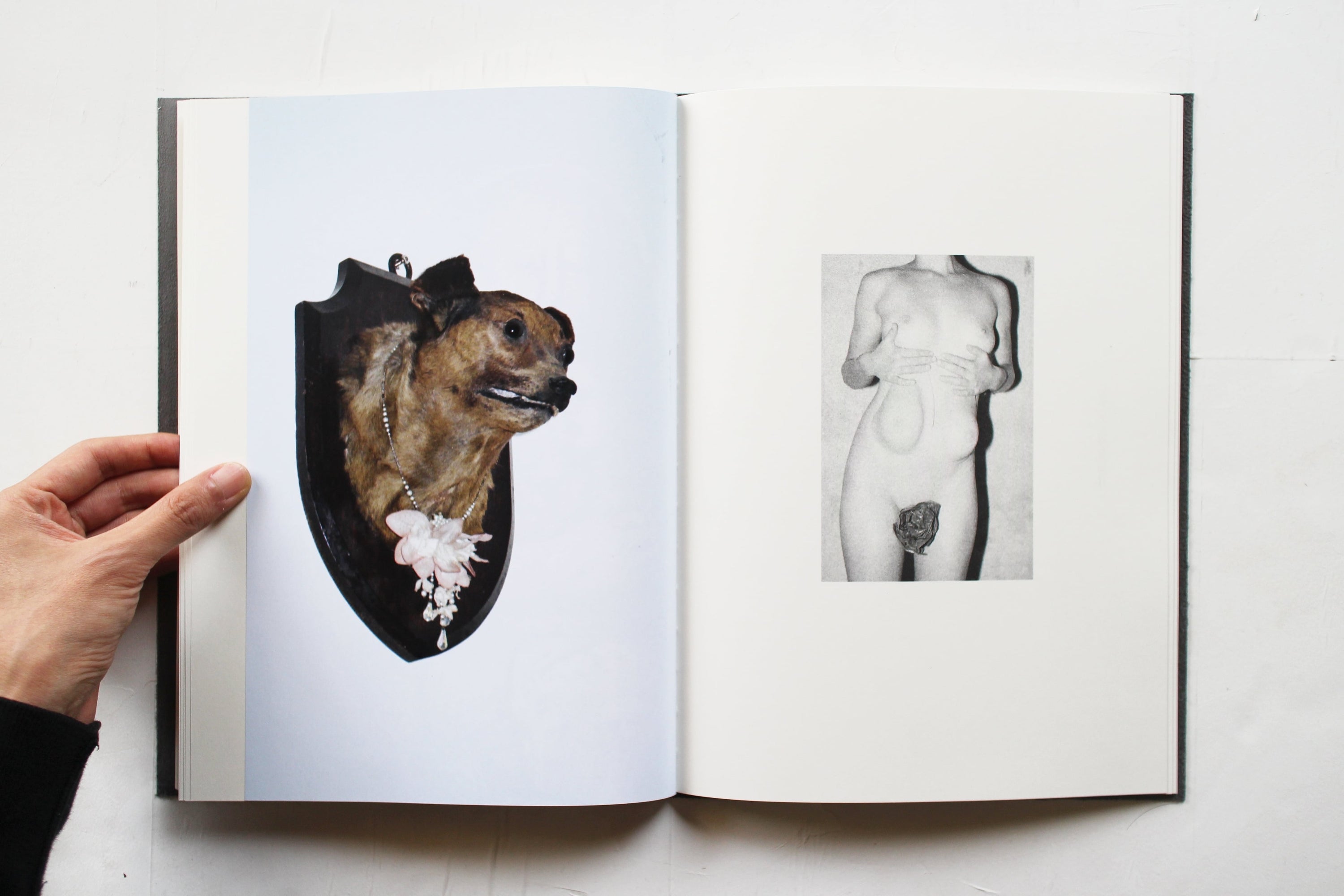 Cannibals. We are vegan, four days a week. The other three we are cannibals — Calin Kruse, 2022, Dienacht edition of 200