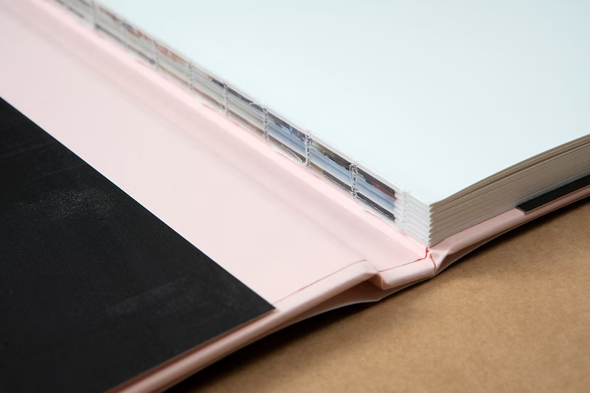 Pastinsky — Josep Maria de Llobet, First Edition (300 copies), Ediciones Posibles 2023