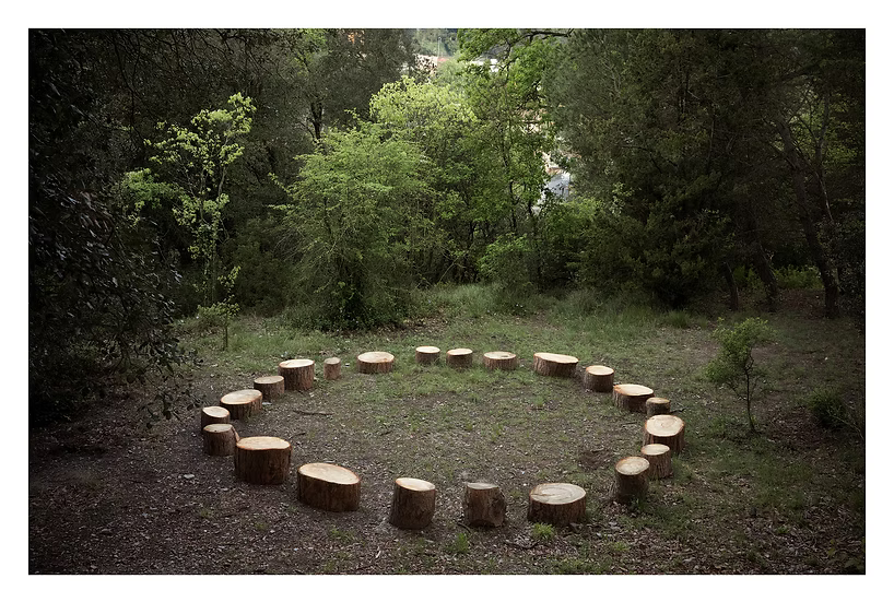And Into The Forest I Go — Alex Llovet, First Edition (500 copies), Ediciones Posibles, 2024