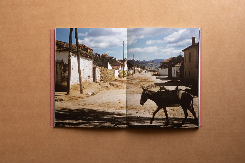 L’album de l’arquitecte 02 — Denise Scott Brown, Ediciones Posibles, 2025 (1st edition)