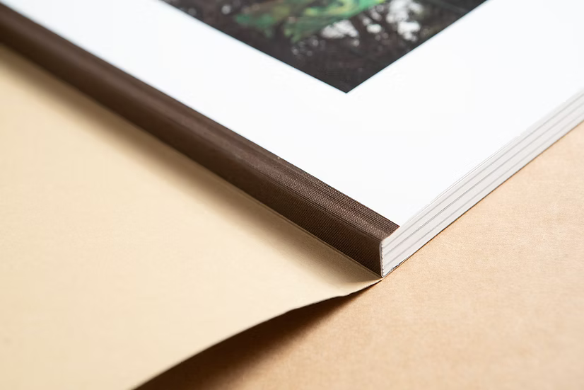 And Into The Forest I Go — Alex Llovet, First Edition (500 copies), Ediciones Posibles, 2024