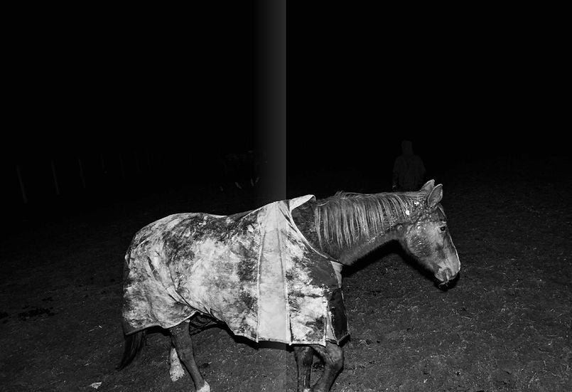 Devil’s Rib — Mateusz Kowalik, Ediciones Posibles, 2023, First Edition