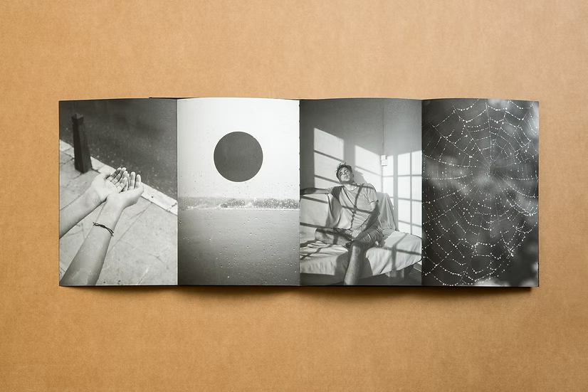 Summer’s Almost Gone — Alex Llovet, Ediciones Posibles 2024