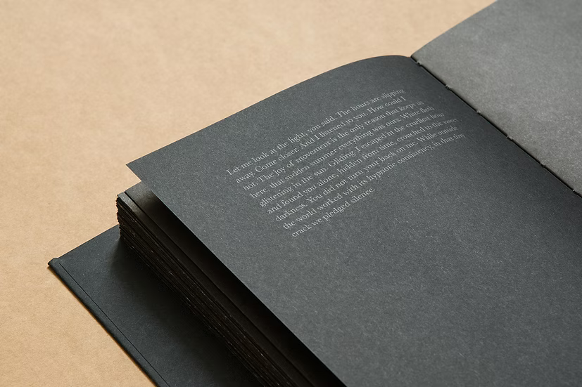 Summer’s Almost Gone — Alex Llovet, Ediciones Posibles 2024