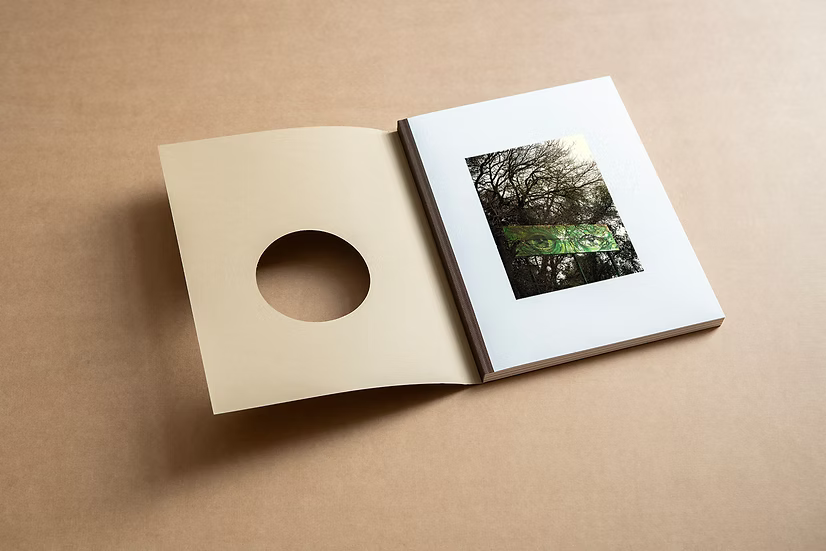 And Into The Forest I Go — Alex Llovet, First Edition (500 copies), Ediciones Posibles, 2024
