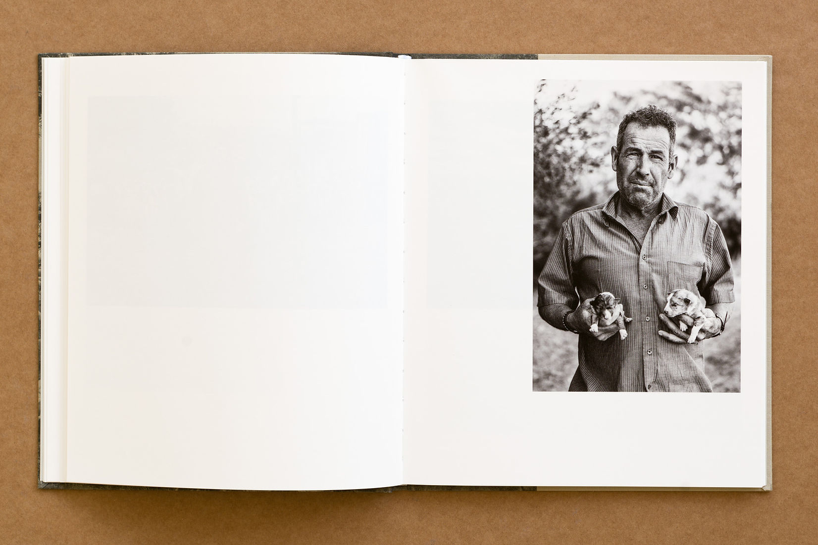El silencio del cayado, Francisco Guardado, Ediciones Posibles-  2020