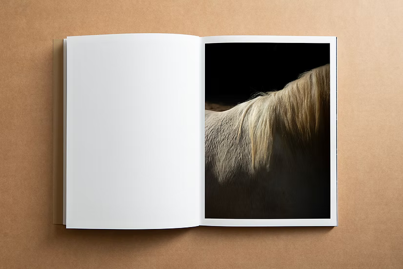 And Into The Forest I Go — Alex Llovet, First Edition (500 copies), Ediciones Posibles, 2024