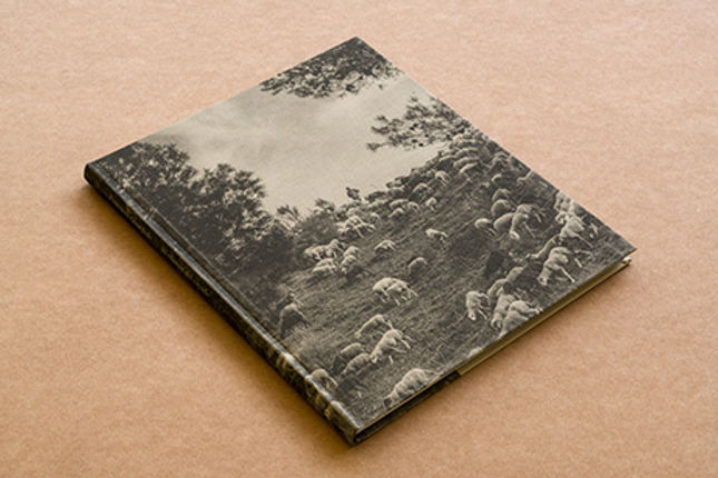 El silencio del cayado, Francisco Guardado, Ediciones Posibles-  2020