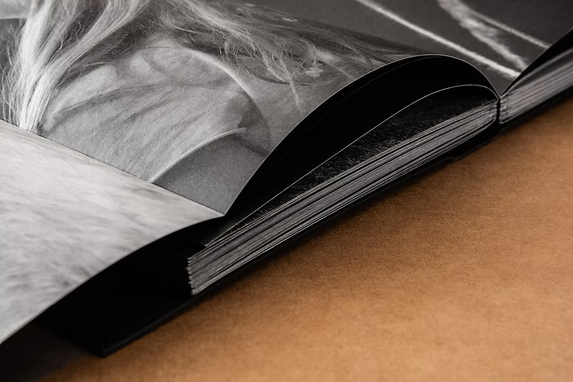 Summer’s Almost Gone — Alex Llovet, Ediciones Posibles 2024