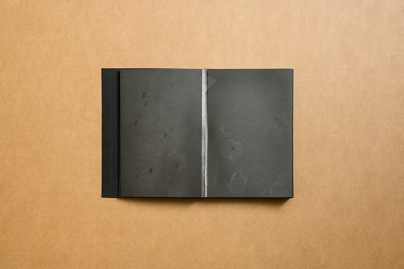 Summer’s Almost Gone — Alex Llovet, Ediciones Posibles 2024