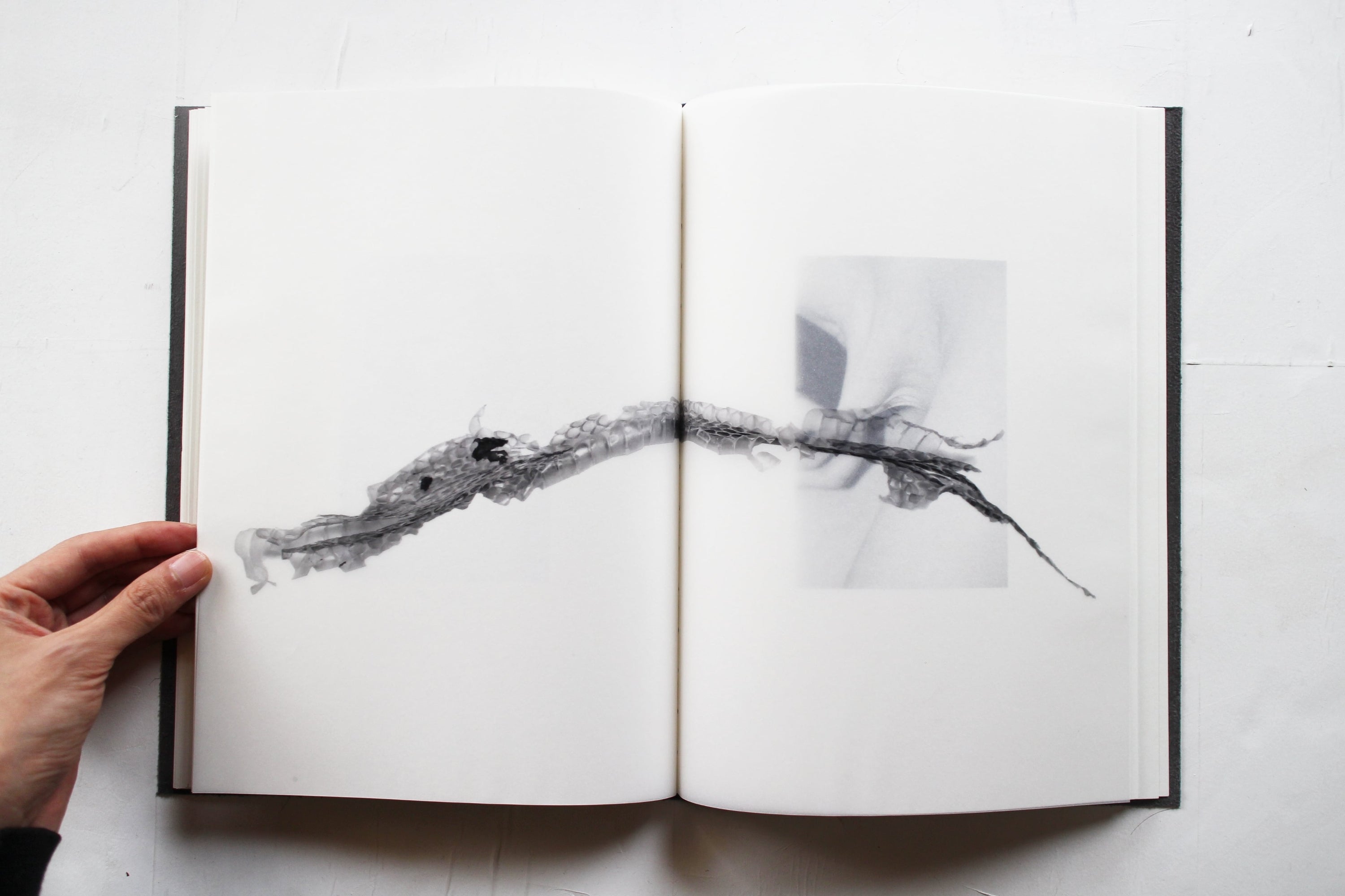 Cannibals. We are vegan, four days a week. The other three we are cannibals — Calin Kruse, 2022, Dienacht edition of 200