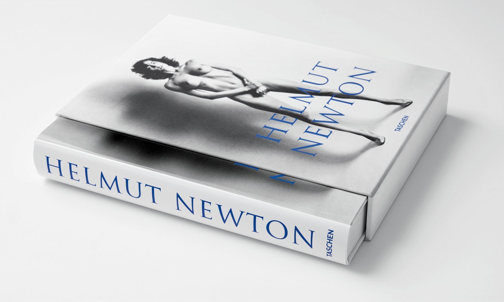 SUMO — Le Monument au Regard de Newton