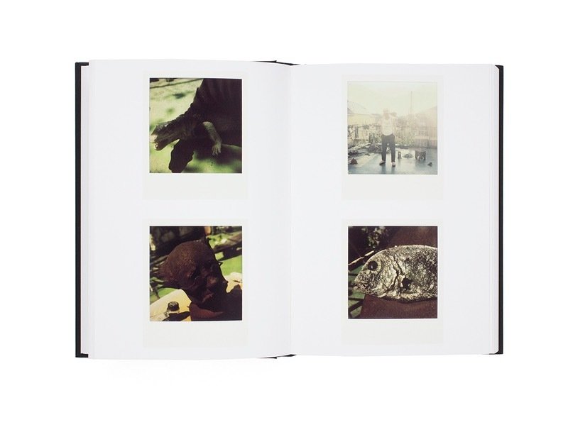 Polart — Nobuyoshi Araki / Al rojo vivo