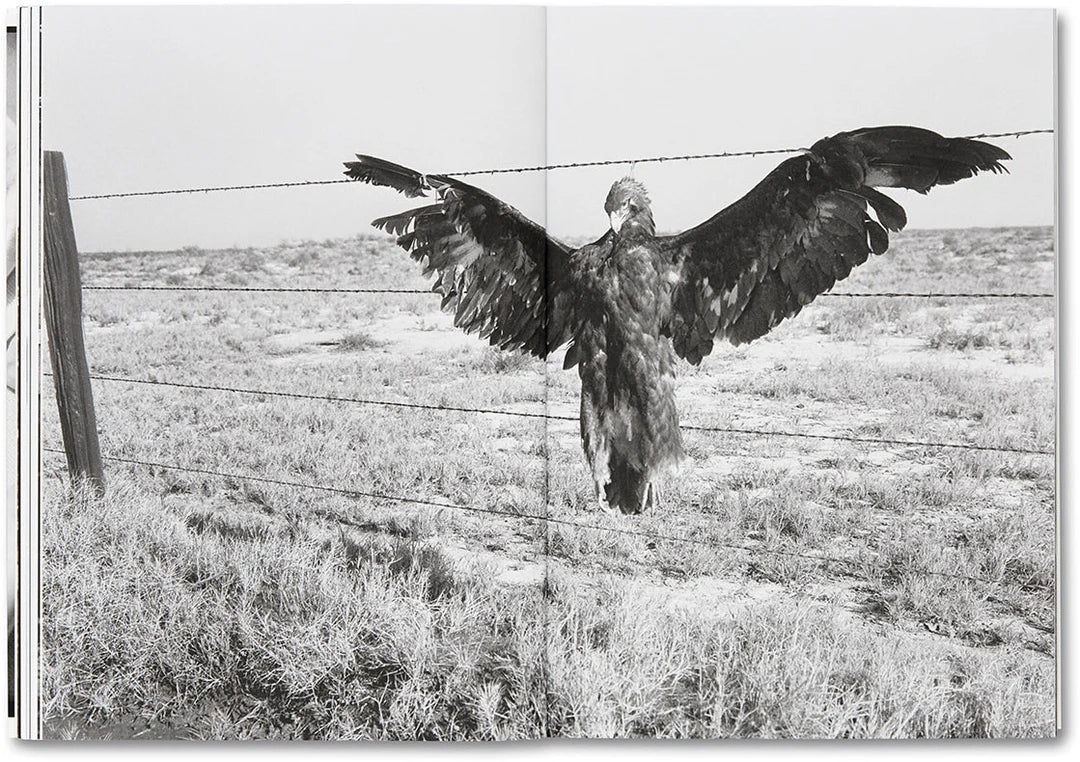 Day Sleeper — Dorothea Lange, Sam Contis, Mack 2020