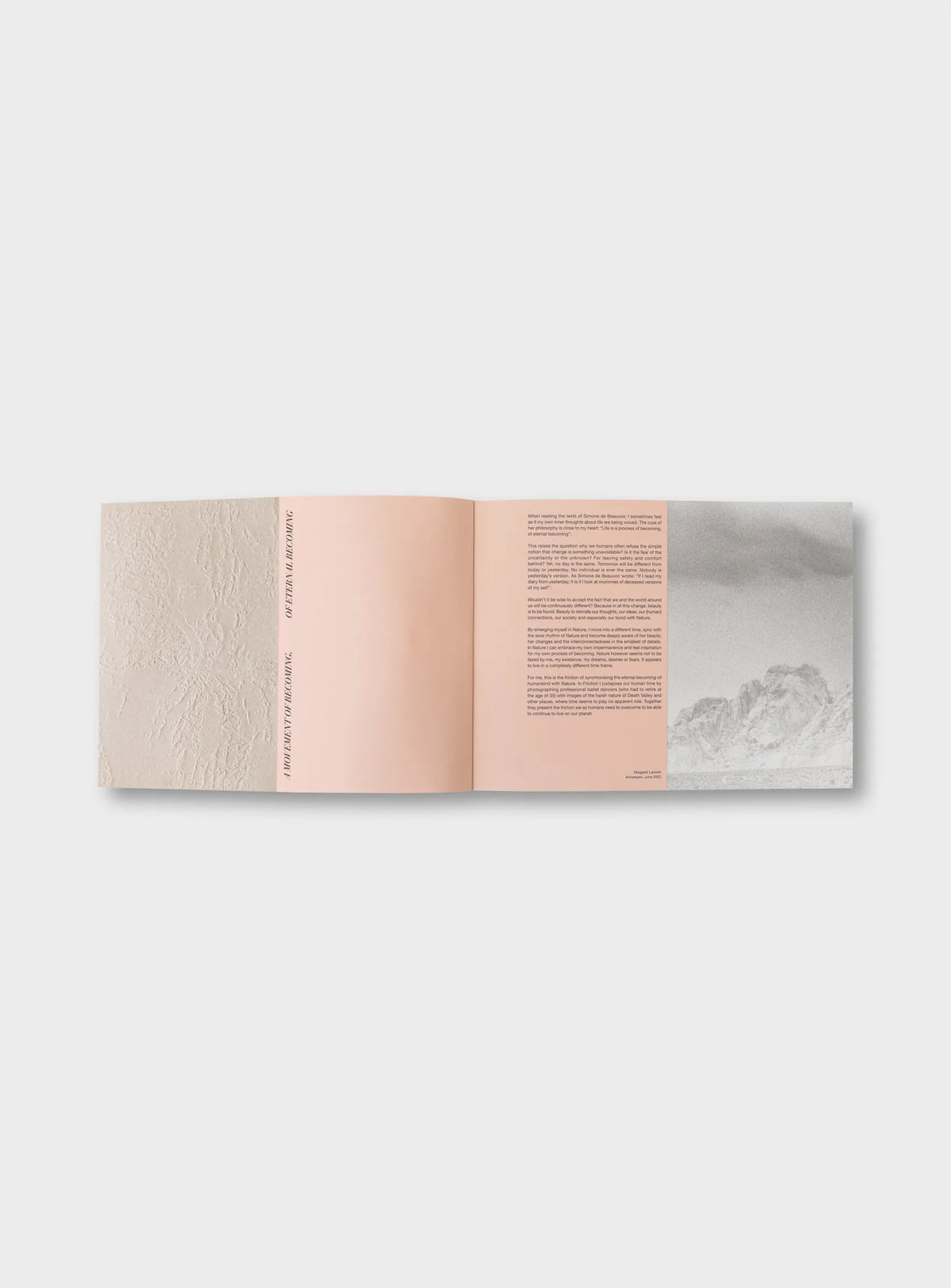 Friction — Margaret Lansink — IBASHO & the(M) éditions — 2022