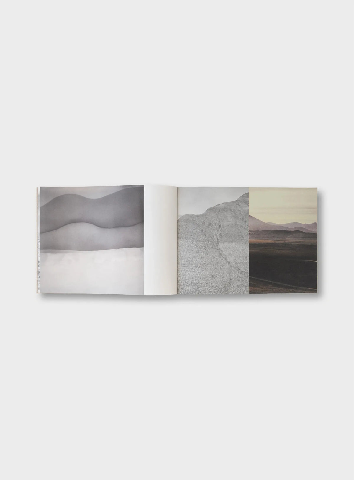 Friction — Margaret Lansink — IBASHO & the(M) éditions — 2022