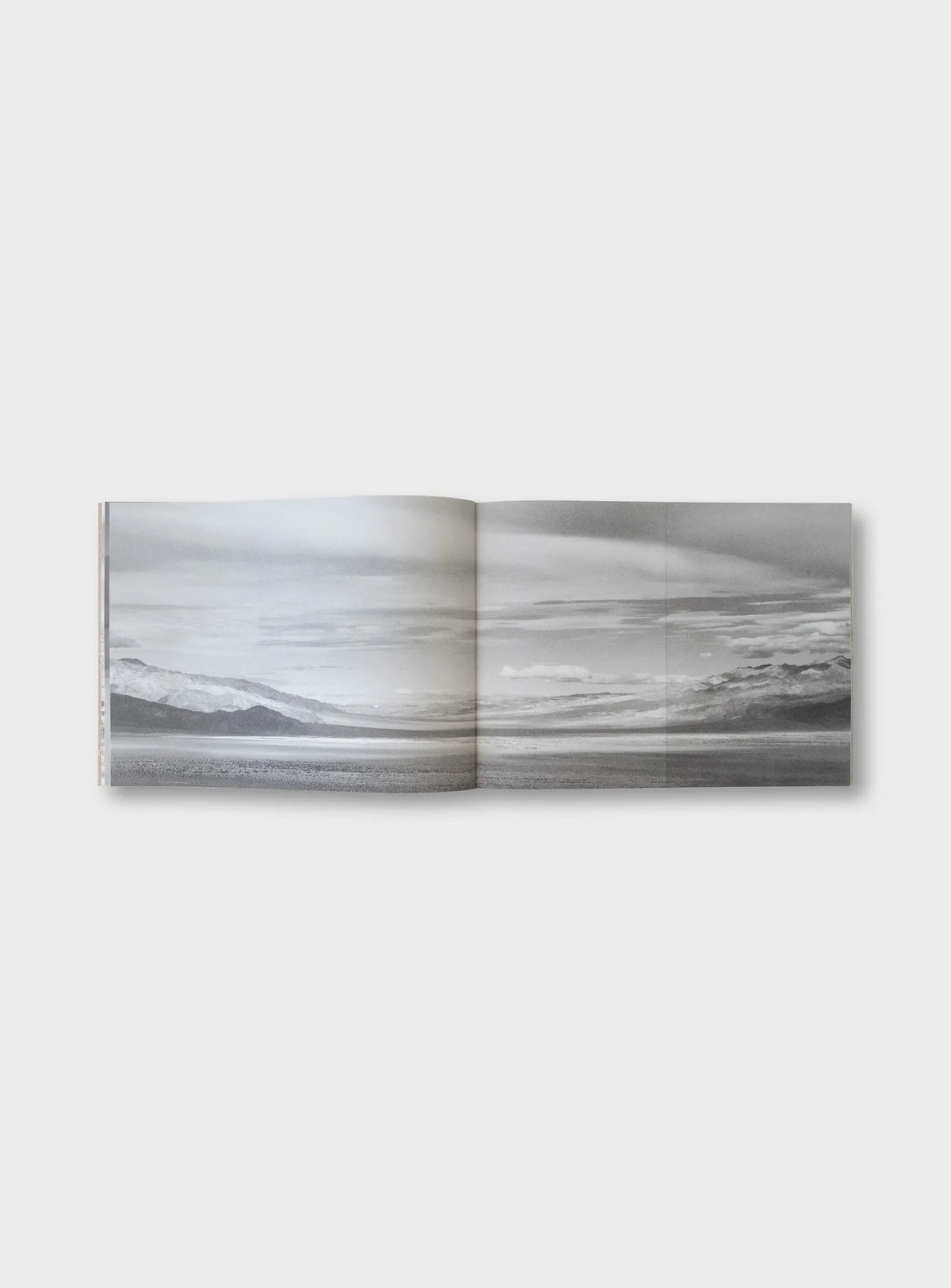 Friction — Margaret Lansink — IBASHO & the(M) éditions — 2022